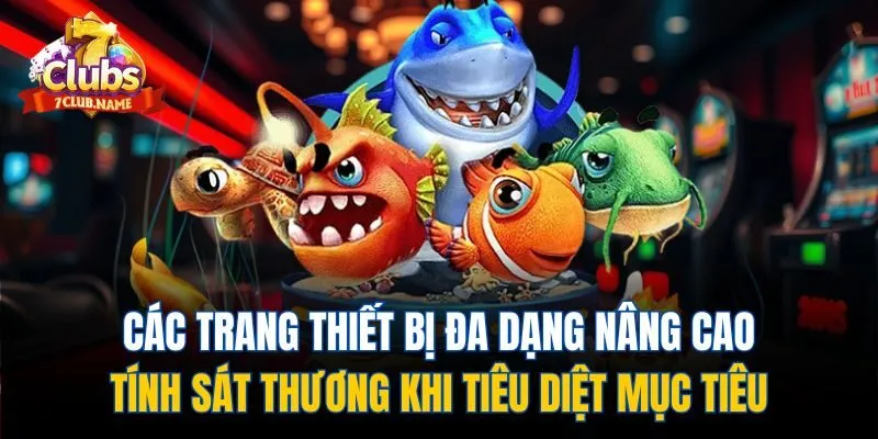 Các trang thiết bị đa dạng nâng cao tính sát thương khi tiêu diệt mục tiêu