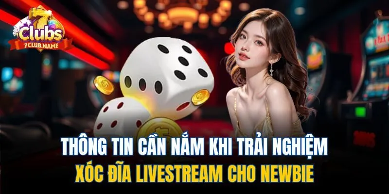 Thông tin cần nắm khi trải nghiệm xóc đĩa livestream cho newbie